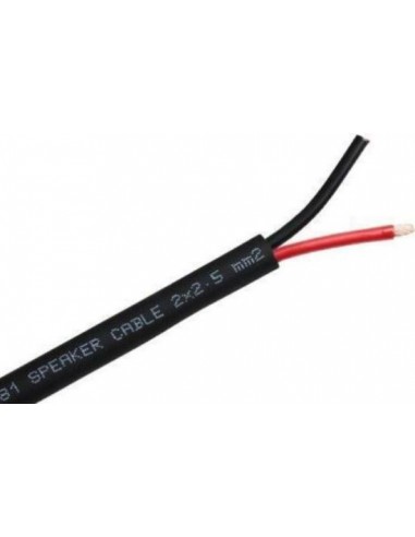 Belden 46381NH Speaker Cable – LSZH 2 x 2.5mm² for Indoor & Outdoor Applications UAE